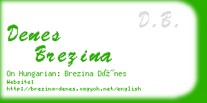 denes brezina business card